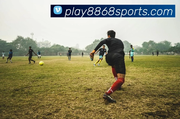 8868体育平台生态图